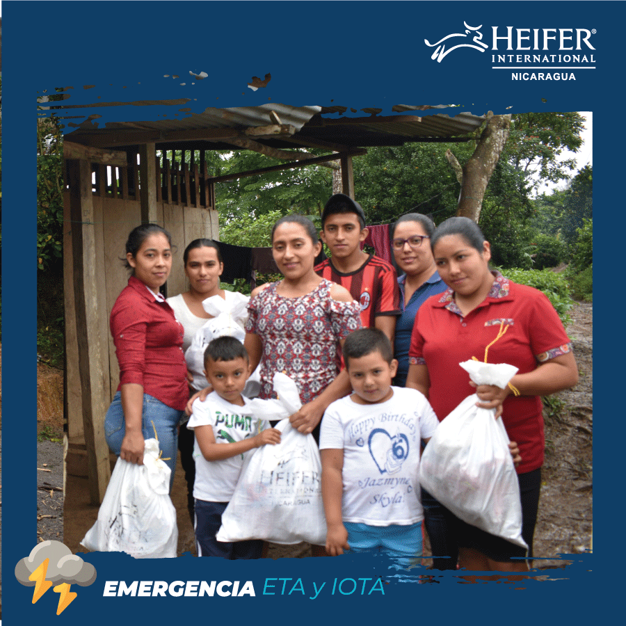 HeiferNicaragua tweet picture