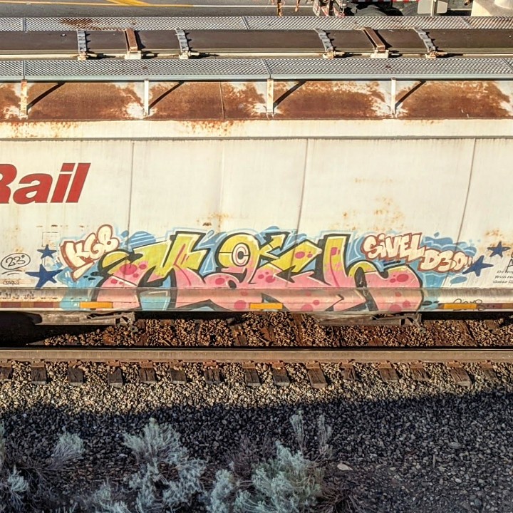 GraffitiExpress's tweet photo. mach
#kamloops #train #graffiti #art
#mach #kgb #sivel #d30 https://t.co/CvqKgyB0cw