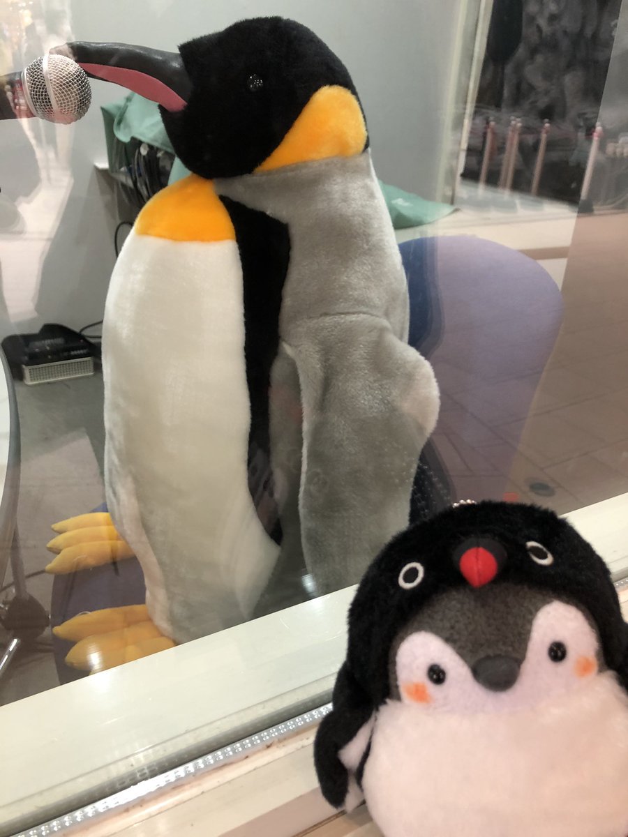「アドベンチャーワールドに来られてえら〜い!」
今日はコウペンちゃんがリスナーのようです。はなまるモーニング特別編が始まります。
#こころにいつもSmileを https://t.co/rSid5yhxrl