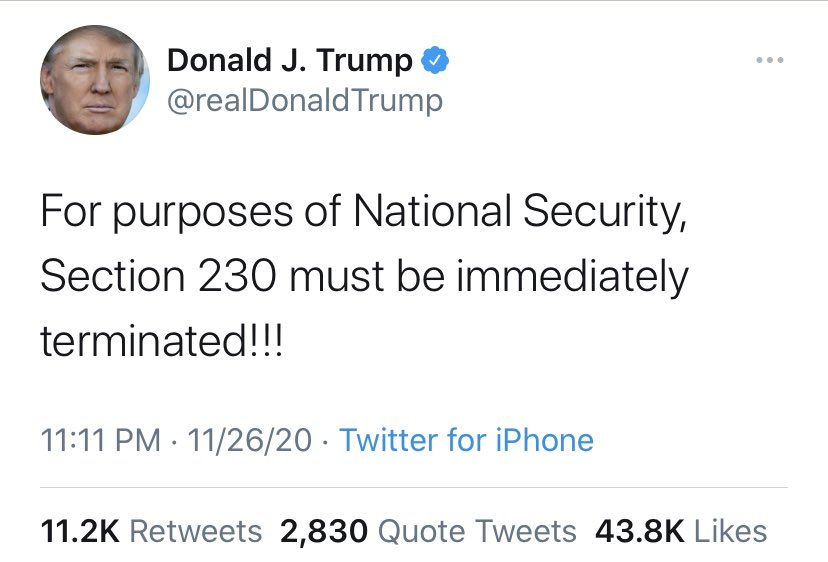 Meidas_Michelle's tweet image. He’s so upset about #DiaperDon trending number 1, he wants to terminate Section 230 (attached if you, like me, had no clue what that was). 

Don’t make it worse by retweeting #DiaperDon...