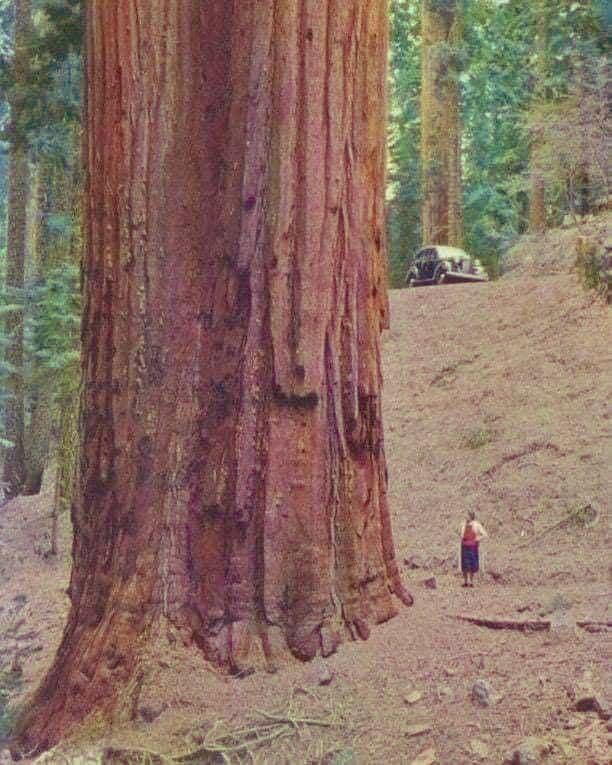 JCTownsend3's tweet photo. How significant are we, really! #nature #motherearth https://t.co/tyZZDVmrCx