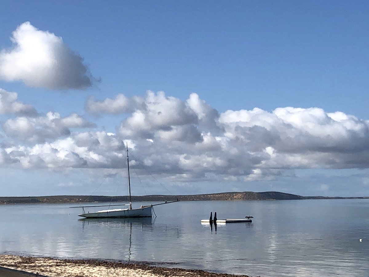 Very proud of the Shark Bay Gathaagudu community for winning the #Tidytown Awards for Litter Prevention and Waste Management. May explain why SharkBay always looks so pristine👍 #worldheritagearea