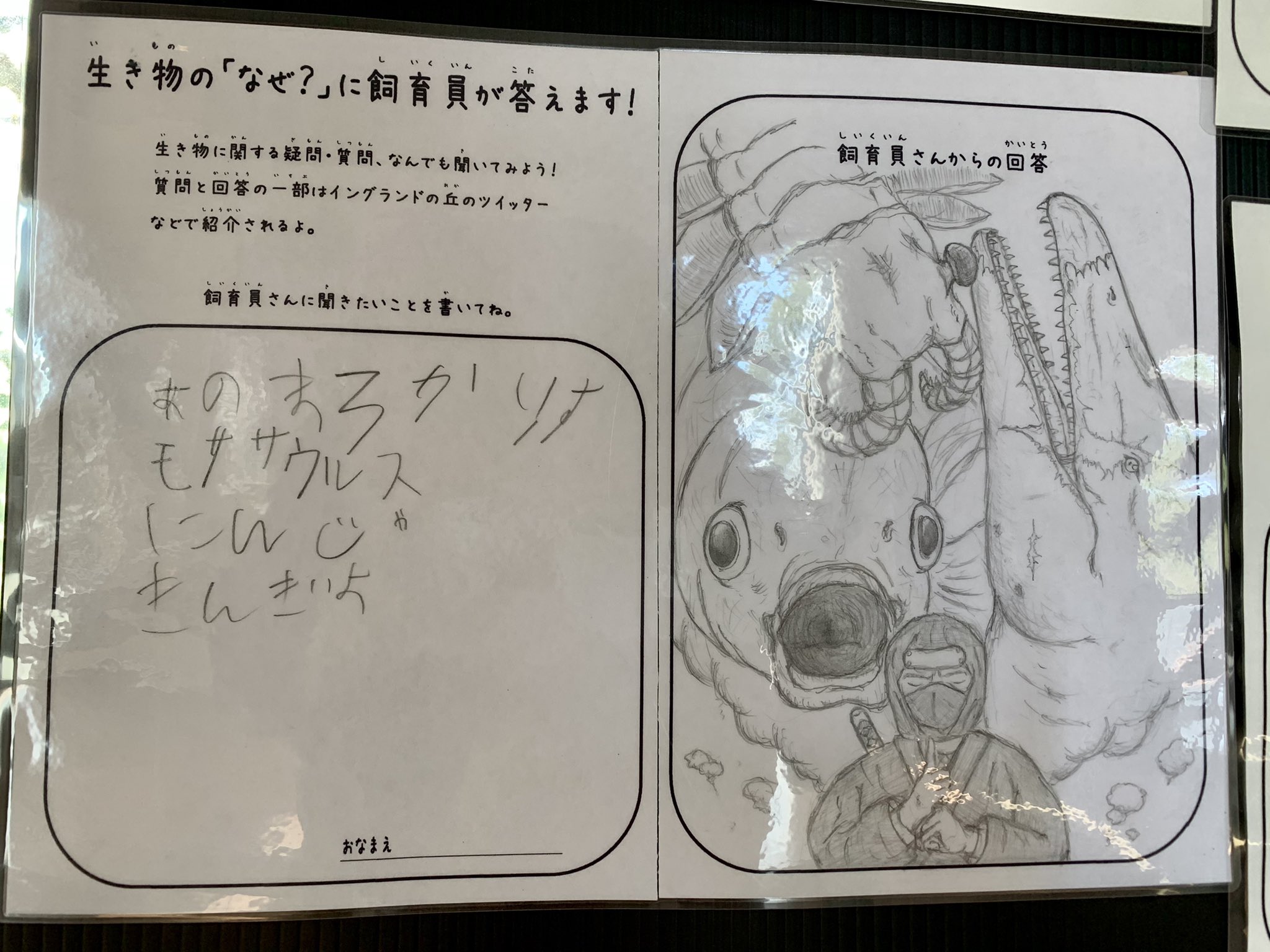 利用者の素朴な質問に対して 面白い回答をするイングランドの丘の飼育員さん 話題の画像プラス
