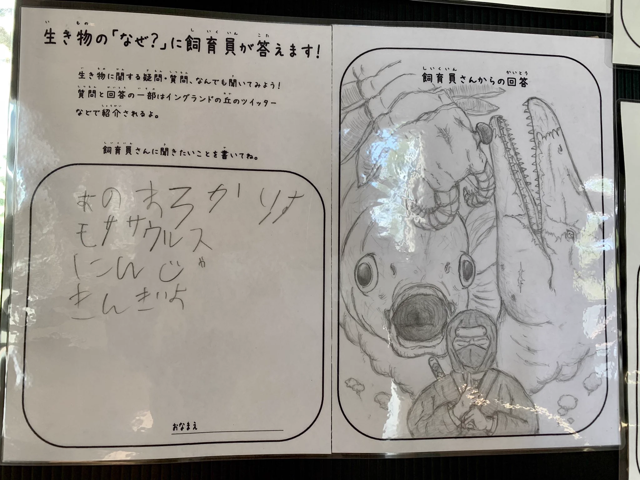 利用者の素朴な質問に対して？面白い回答をするイングランドの丘の飼育員さんwww