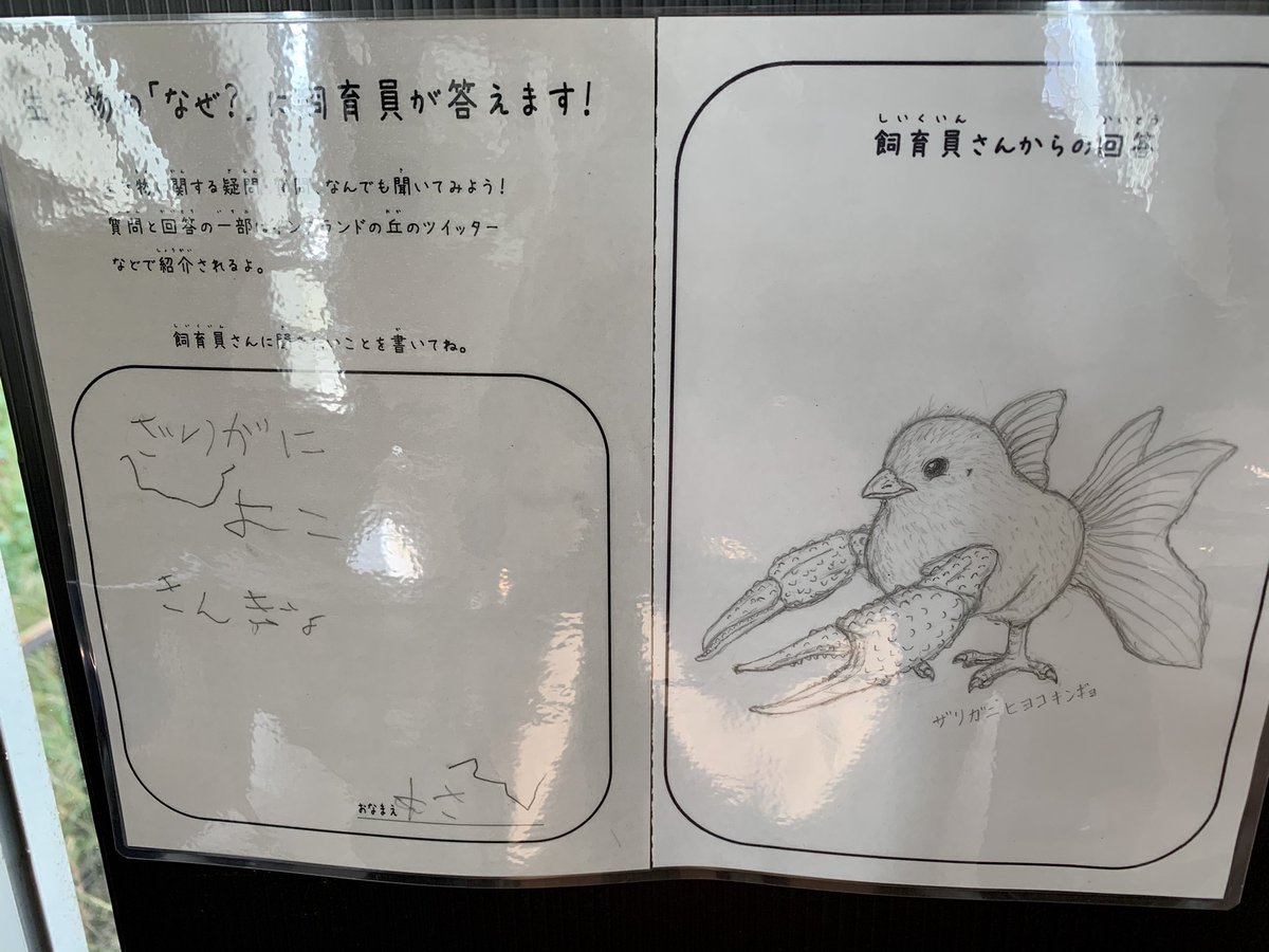 来園者から寄せられた生き物についての疑問に全力回答する淡路島 イングランドの丘の飼育員さんが最高すぎる Togetter