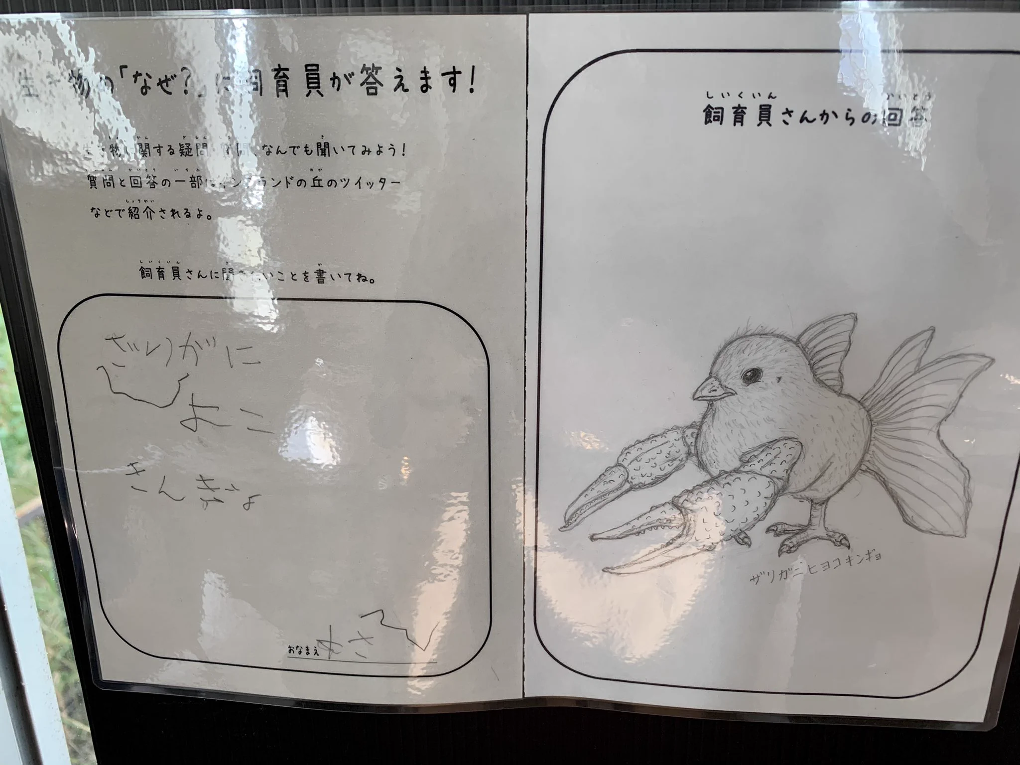 利用者の素朴な質問に対して？面白い回答をするイングランドの丘の飼育員さんwww