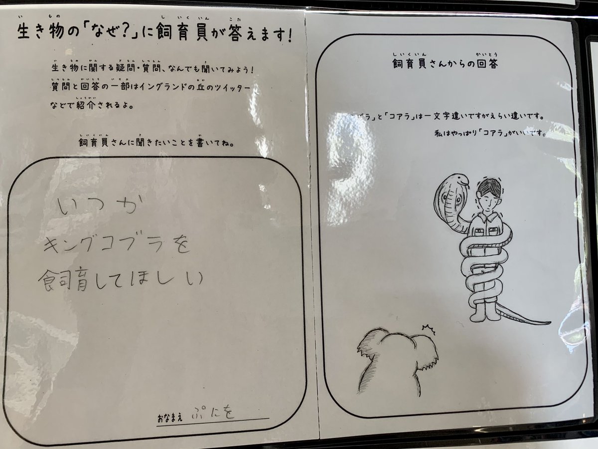 来園者から寄せられた生き物についての疑問に全力回答する淡路島 イングランドの丘の飼育員さんが最高すぎる Togetter