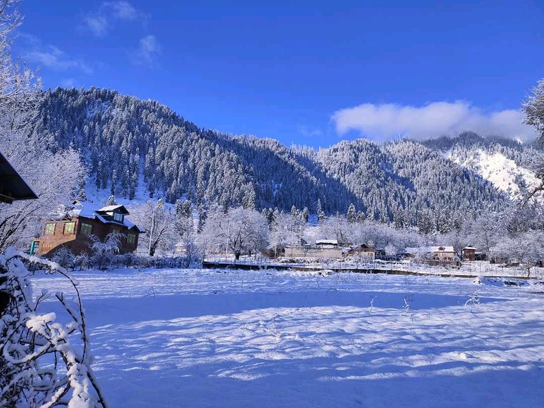 aafreensikander's tweet photo. Beautiful View of #Sitharan Khag, District Budgam In Kashmir Valley 🌺🌷🌺
@ihameed123 @HimalayaClubPK @JamilAnwarAb @AzharPanni @wasimkhatrii @ferbak44 @imranmufti786 @Pakistaninpics @PakistanNature @T_Sidd @Capjackss @Blackzero_199 @maddasizaq @lost_astronomy @HudaNauman https://t.co/dbWaUsz25Q