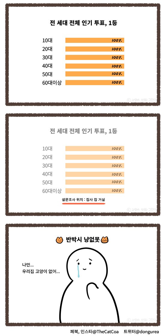 고양학 권위있는 기관 인증.
세계에서 제일 귀여운 고양이 종류 