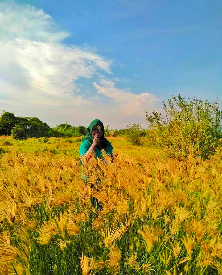 w_wiendha's tweet photo. it's doesn't matter if it's a relationship, a lifestyle, or a job if it a doesn't make you happy let it go...
.
.
. 
#quotes #LoveStory #LoveisSweet #photograghy https://t.co/LlMcfk0mJt