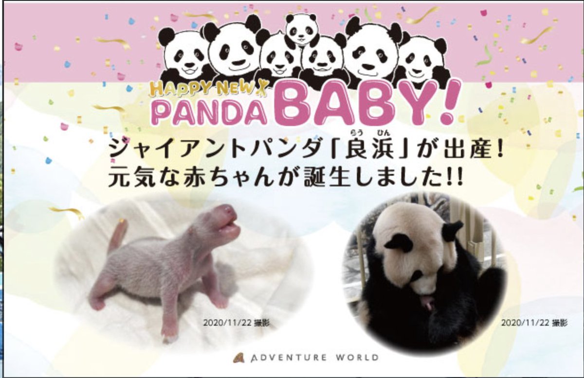 白浜アドベンチャーワールドでパンダが産まれた😍
嬉しい嬉しい嬉しい
🐼パンダ🐼好きなアタクシ
早速白浜のマリオットを予約してみた😉
おそらく春ぐらいにお披露目か!!仕事さっさと片付けていくぞー♪
#パンダ #大熊猫 #白浜 https://t.co/4c9uVNVzP4