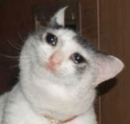 Me trying to hold back tears after my bf agrees with me that I'm dumb https://t.co/wzZnrPLp1P