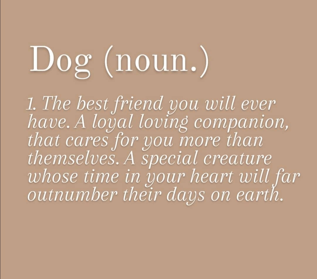 vdogfood's tweet photo. Truer words have never been written. ππΆ
π· @barkneywick
-
-
#vdog #kindkibble #vegandogs #vegandogfood #vegandogtreats #adoptdontshop #dogsofinstagram #bestfriend #dogfacts #loveofdogs #dogsareawesome #vegandogsquad #furbabies https://t.co/XYr4vYhxlA
