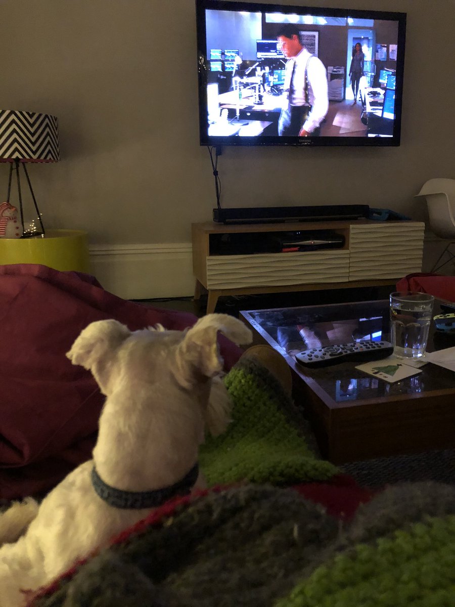 Watching Suits.