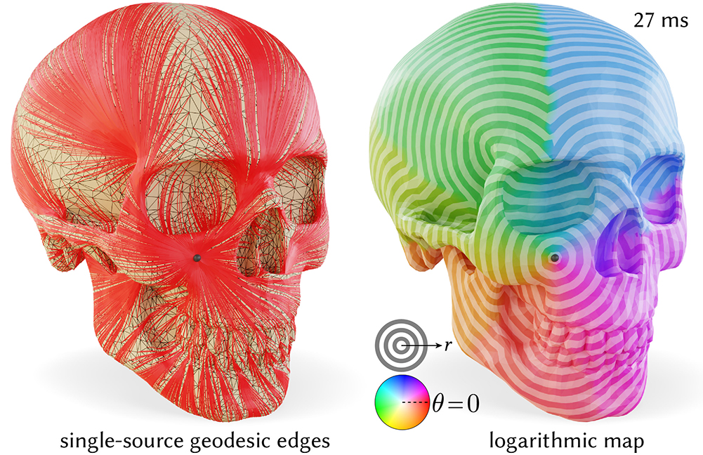 We also show an example finding locally-shortest geodesics from a source, by flipping edges while running Dijkstra.Amazingly, this implies that an intrinsic triangulation always exists which contains a geodesic path along edges from a source to each other vertex. (9/N)