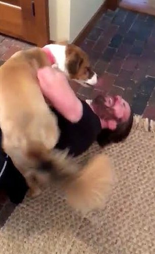 you can't see him but they're holding paws 