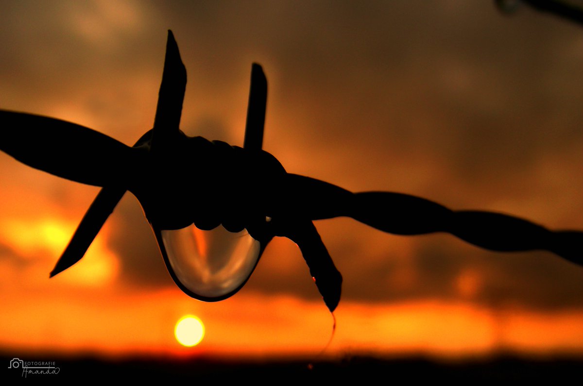 AmandaCaptures's tweet image. 'Sunset drop'
The Netherlands, Spijkenisse

Have you seen such beauty?

@StormHour 
@ThePhotoHour