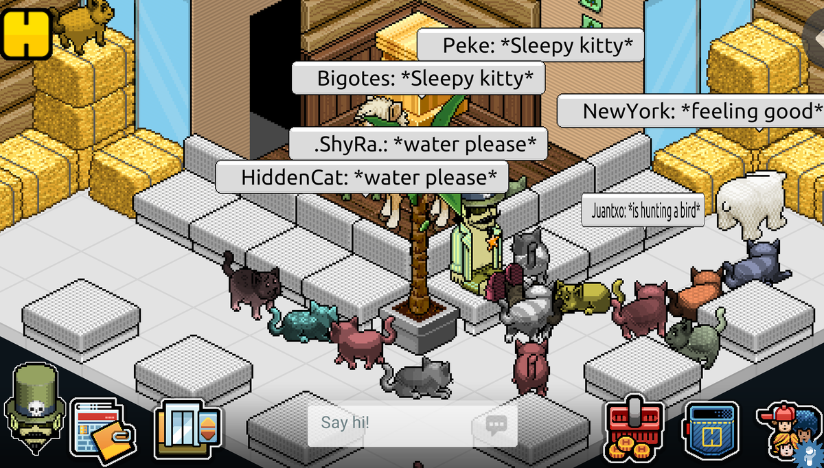 PlutoniooCOM's tweet image. I love you my cats