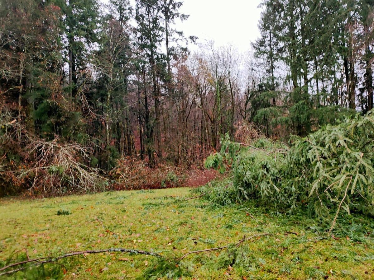 ExtremeMeteo's tweet photo. Un phénomène venteux violent a été reporté du côté de #Cornil (19), plus précisément à La Rongère. Suspicion de #tornade. Plus de détails sur https://t.co/YPlatGEeXk https://t.co/l1wirj6ebK