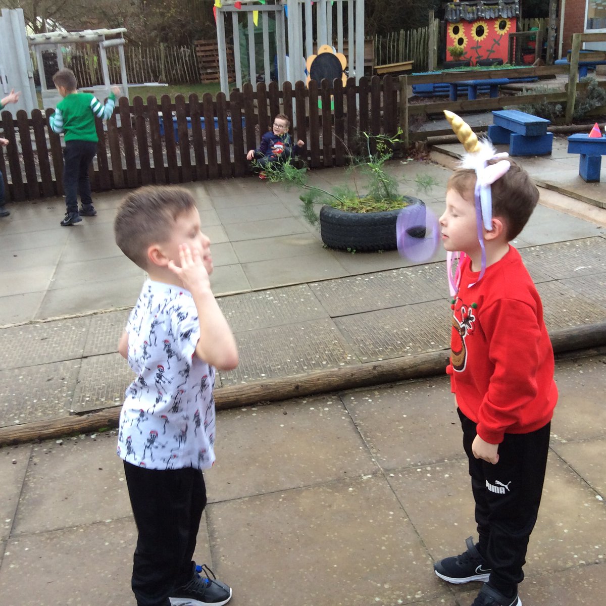 Maple Class tweet media