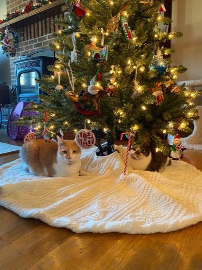Looks like these two are waiting for presents! Check out this great photo of the decorations at Nick McCourt's house, our Cybersecurity Engineer.

#companyculture #wfh
