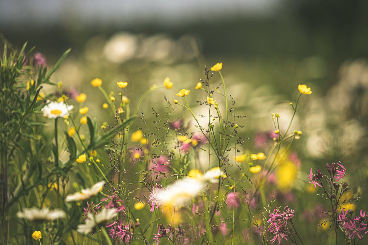 Key message 3:NbS should be carefully designed and implemented through a bottom-up and  #participatory approach involving multiple stakeholders. http://www.naturebasedsolutionsinitiative.org/news/role-of-nbs-for-climate-change-adaptation-in-uk-policy/