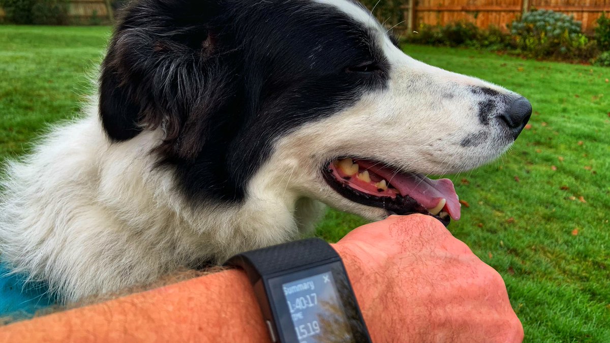 Tim Symonds tweet media