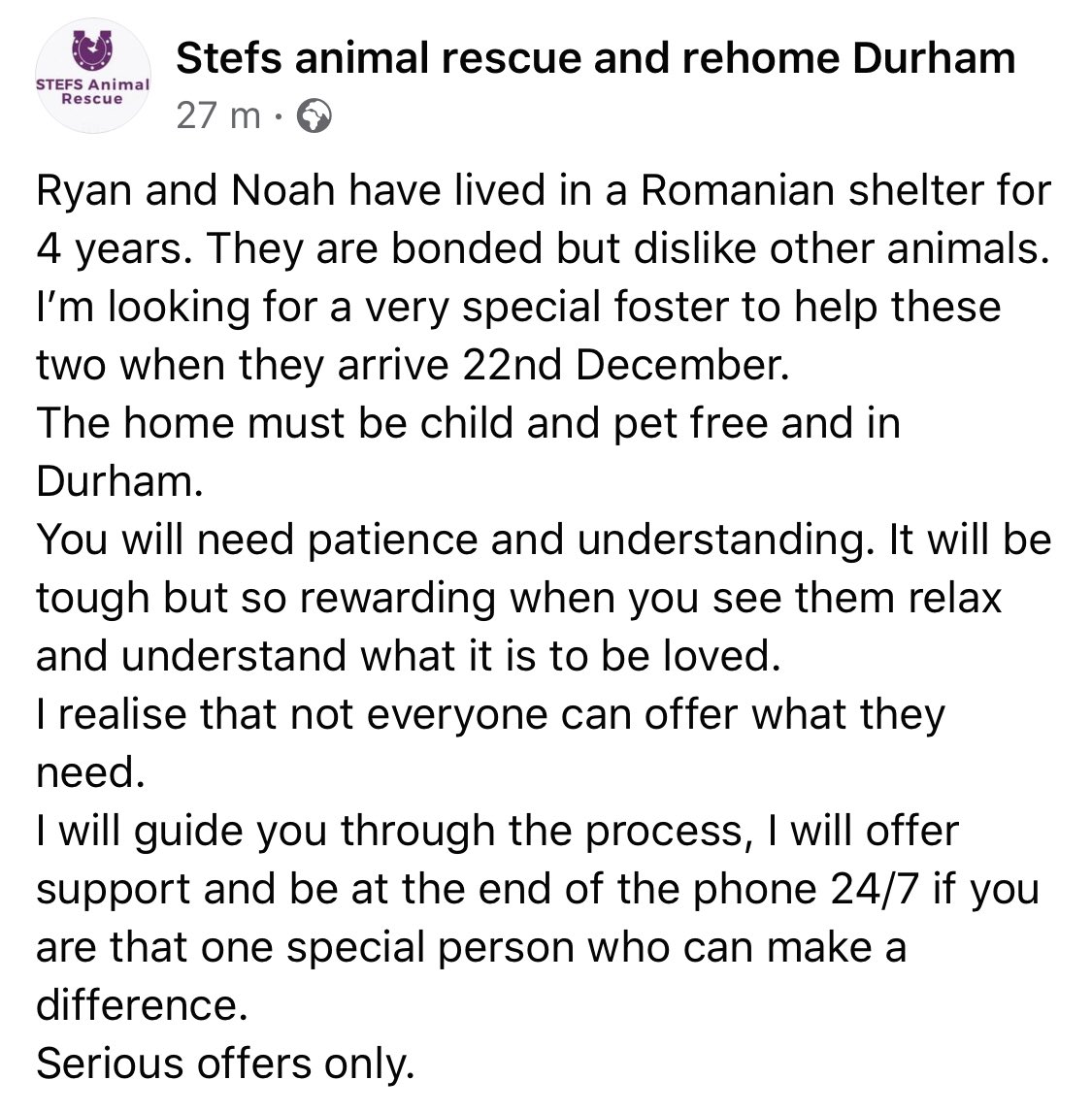 stefsrescue's tweet image. #fosterfirst #rescuedogs #durham #tyneandwear