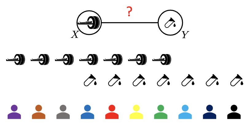 kbatmang's tweet photo. Indep. testing is one of the essential tools of #causal discovery. In reality, only a small subset of our samples have both X,Y while we have a much larger sample size unpaired data. @MingmingGong1  method (#NeurIPS2020 workshop) helps to be less data wasteful @DBMI_Pitt https://t.co/YJ7mUAIQit