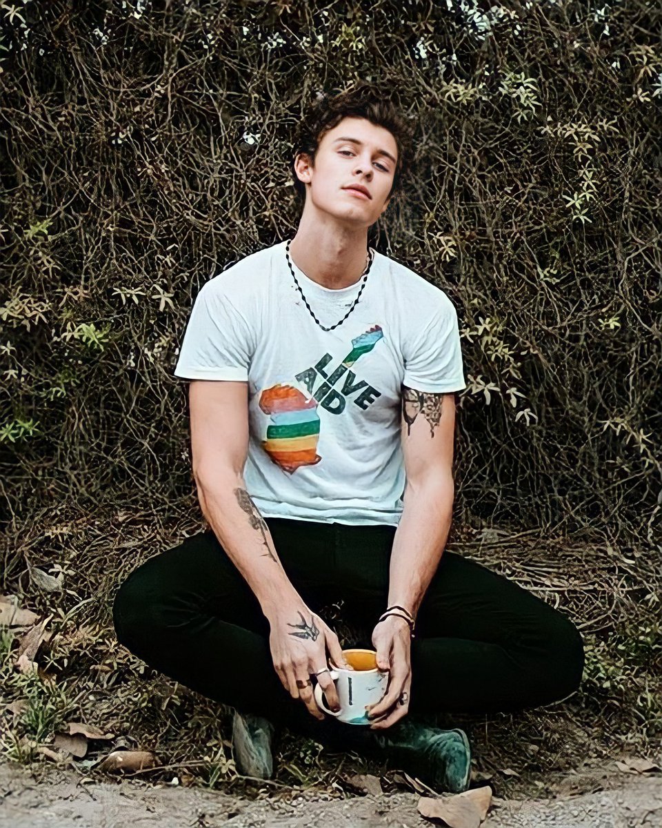 Harry Styles and Shawn Mendes as each other; a thread.