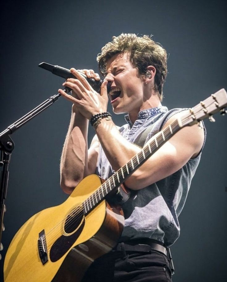 Harry Styles and Shawn Mendes as each other; a thread.