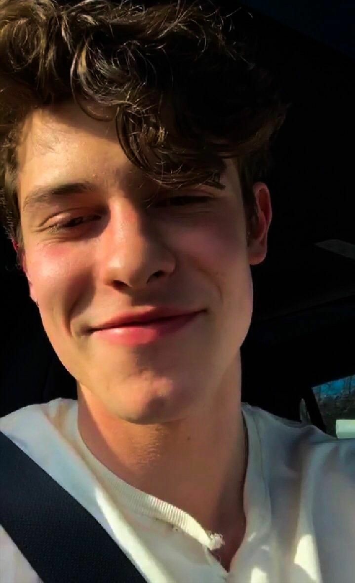 Harry Styles and Shawn Mendes as each other; a thread.