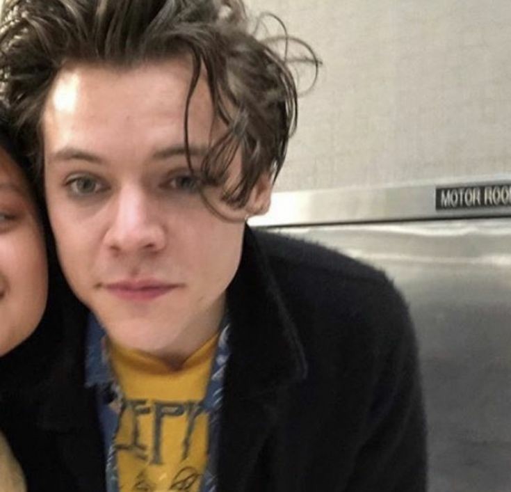 Harry Styles and Shawn Mendes as each other; a thread.