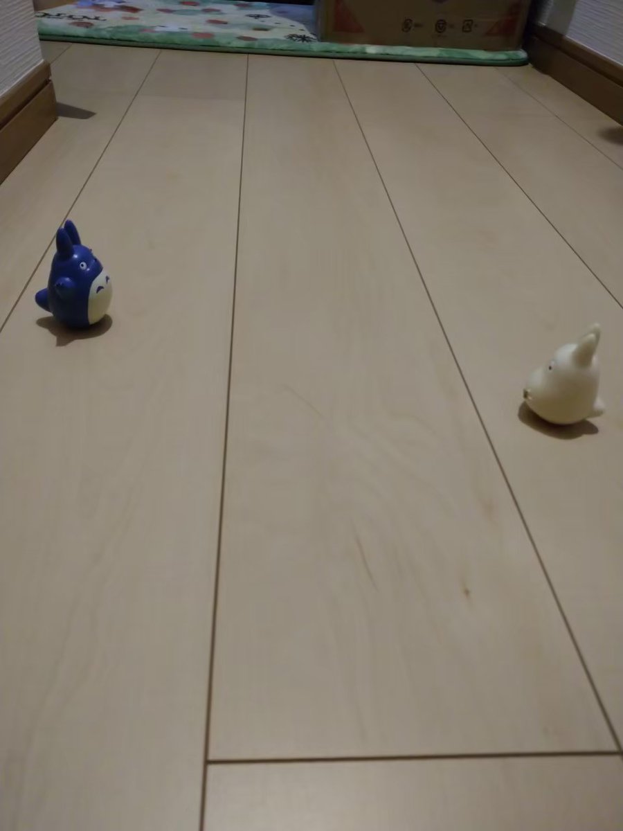 我が家の廊下では、トトロの井戸端会議が行われているのです♥