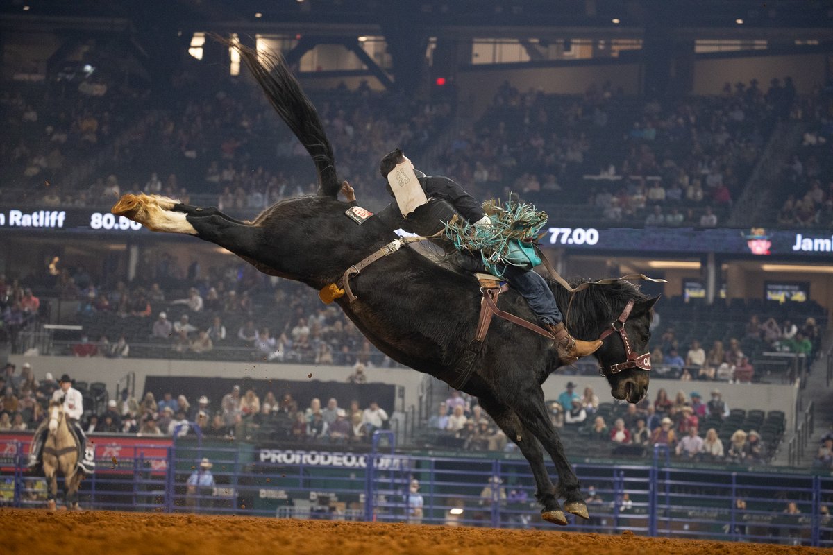 Cowboy_Plus's tweet photo. Jess Pope Wins Round Eight, Takes Over the First in Bareback Riding Average at the NFR

https://t.co/QucyrLFTWa https://t.co/QkNzs2w5Hf
