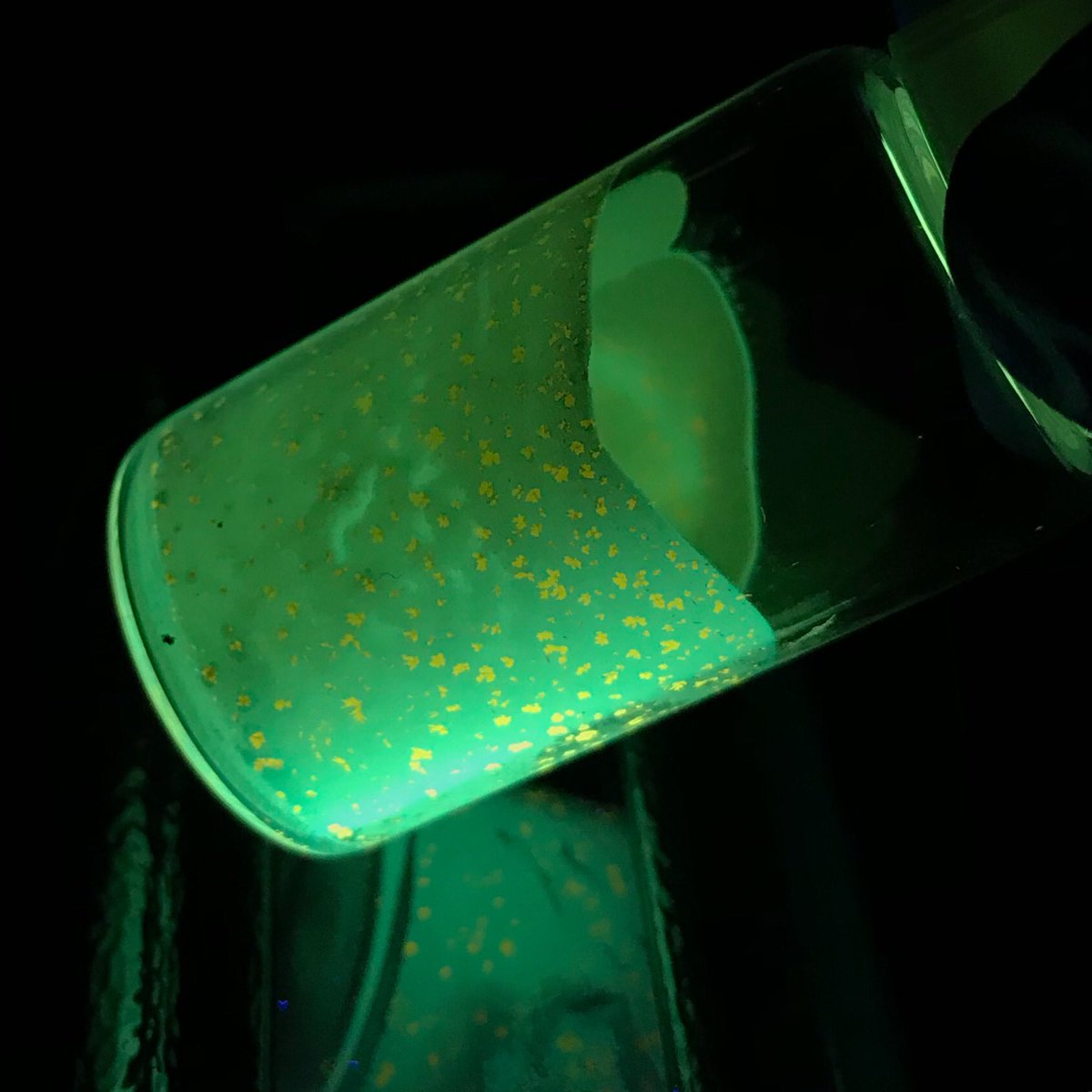 Michael Rosko (@mc_rosko) on Twitter photo Old reaction I left in my drawer produced the prettiest speckled effect under UV. Thank you <a href="/sheykhisara16/">Sara Sheykhi</a> for the photo! #FluorescenceFriday Old reaction I left in my drawer produced the prettiest speckled effect under UV. Thank you <a href="/sheykhisara16/">Sara Sheykhi</a> for the photo! #FluorescenceFriday