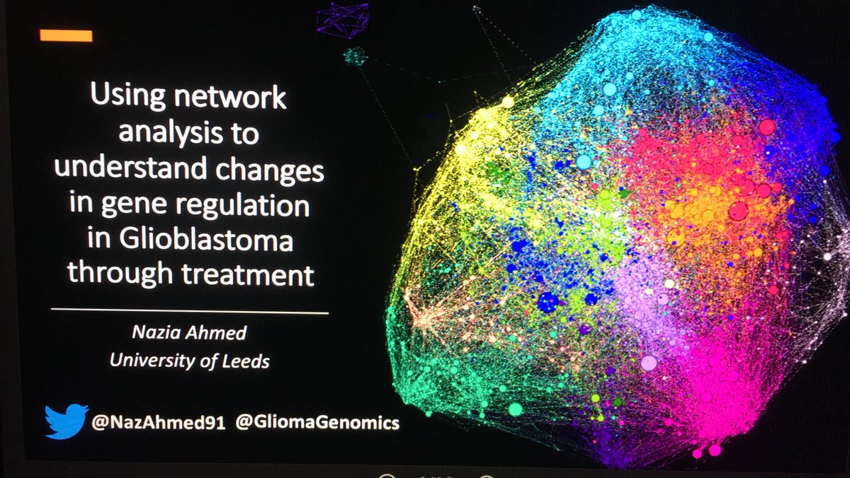 I just want to post this slide from my talk because look how beautiful my network is 😂😂😂 love a pretty picture #graphtheory #network #GBM #BTNW #CancerResearch