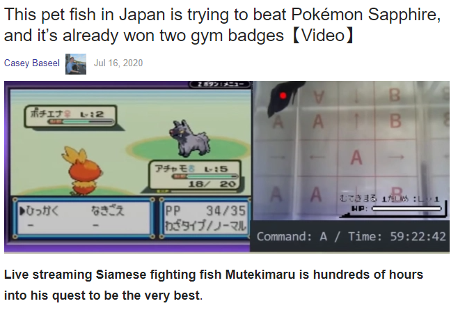 If I had a dollar for every time a fish played Pokemon I'd have 2 dollars which isn't a lot but it's weird that it happened twice