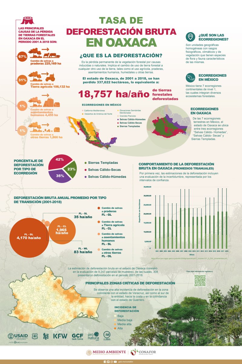 La principal tendencia de cambio #deforestación en el estado de Oaxaca es la conversión de Tierras Forestales a Praderas. Conoce más información sobre #deforestación en el estado de #Oaxaca en este #dataposter #dataBosques: bit.ly/3nbh05S