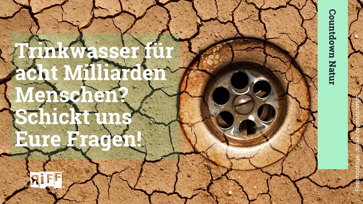 riffreporter's tweet photo. Sauberes #Wasser ist eine Überlebensfrage. Wir recherchieren mit Förderung des @ejcnet dazu, wo Trinkwasser weltweit herkommt, wo es in Gefahr ist, welche Rolle eine intakte #Natur spielt.
Welche Fragen sollen wir beantworten? Jetzt mitmachen: https://t.co/4b6sNIdJID
#SDG #SDGs https://t.co/Gk8k1F0NTs