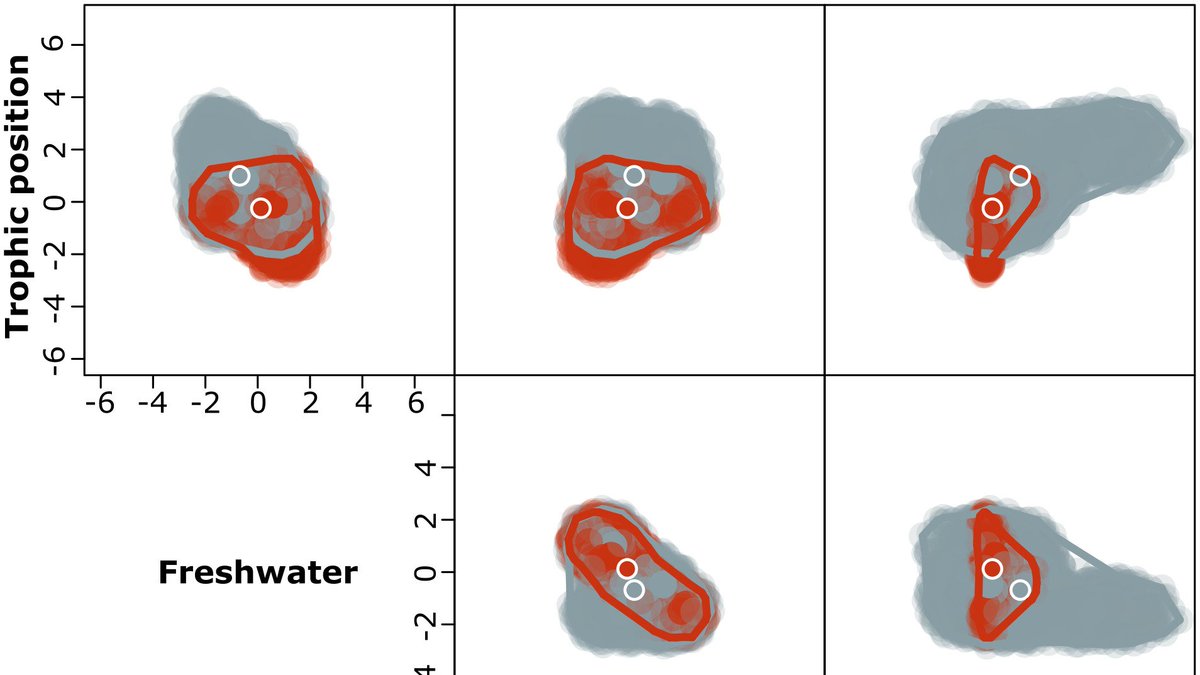 New Paper led by @Ryan_Rezek in collaboration with the @fcelter combines stable isotopes and telemetry to show individual variation in consumer movement mediates food web coupling across the ecosystem. esajournals.onlinelibrary.wiley.com/doi/full/10.10…
#OpenScience #IsoEcol