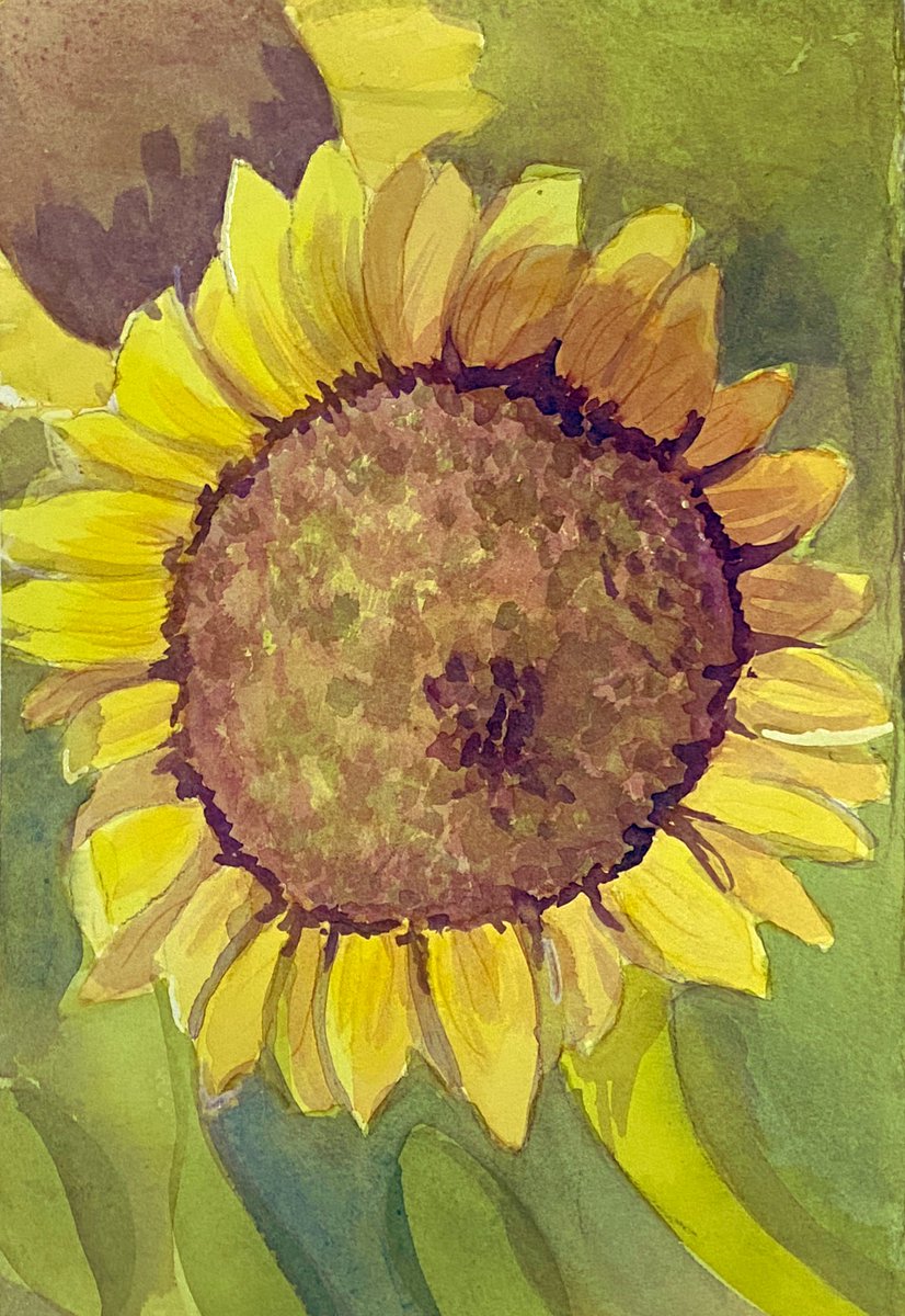 Sunflowers for a wintery Friday.  #ArtAdventCalendar #sunflowers #originalwatercolour #yegartists