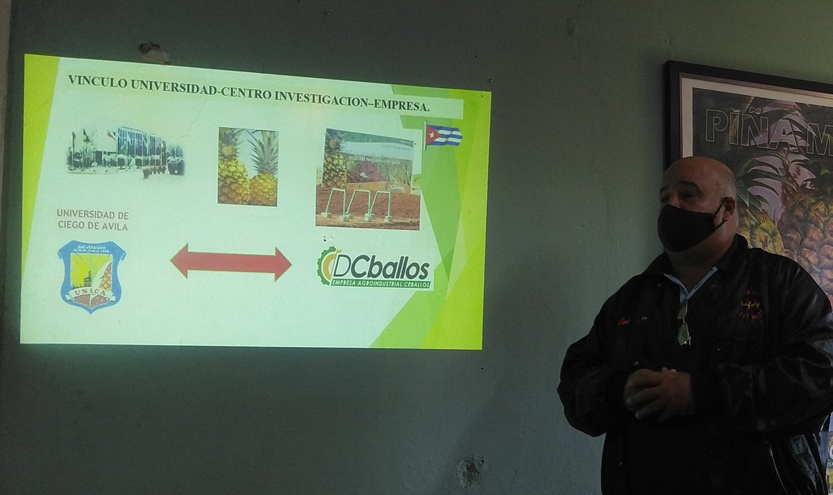 ArmandoRguezB's tweet photo. Producción #Piña n #Cuba tiene nombre: #CiegodeAvila La #UEB Ceballos n vínculo @citmacuba @UNICACu desarrolla #ProgramaTerritorial #CienciaCubana p/ producción variedades #Vitroplantas #exportación #miinindustria #SíSePuede @DiazCanelB @InesMChapman @ElbaRosaPM @ciegodeavilagob https://t.co/2muyx85xcI