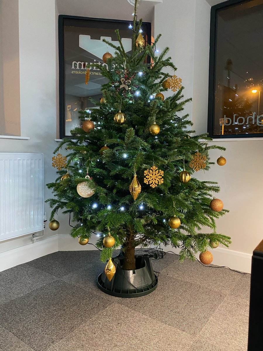 LagentiumIB's tweet photo. On the 12th day of Lagentium, Tracey and Rob gave to me a complete new office and a real Christmas tree (and a very small fairy)! https://t.co/Jm3Yzgt4uK