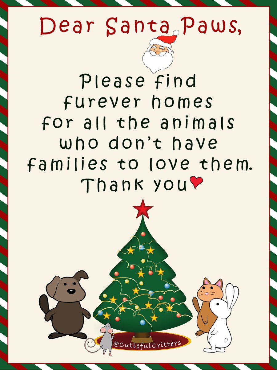 All I want for Christmas is..
❄
🎄
❄
#SantaPaws #Christmaswishes #rescue #savelives #Bekindtoanimals #animalcomics #animalcomic #bekind #animallover #AdoptDontShop #volunteer #rescuedbunny #adoptedbunny