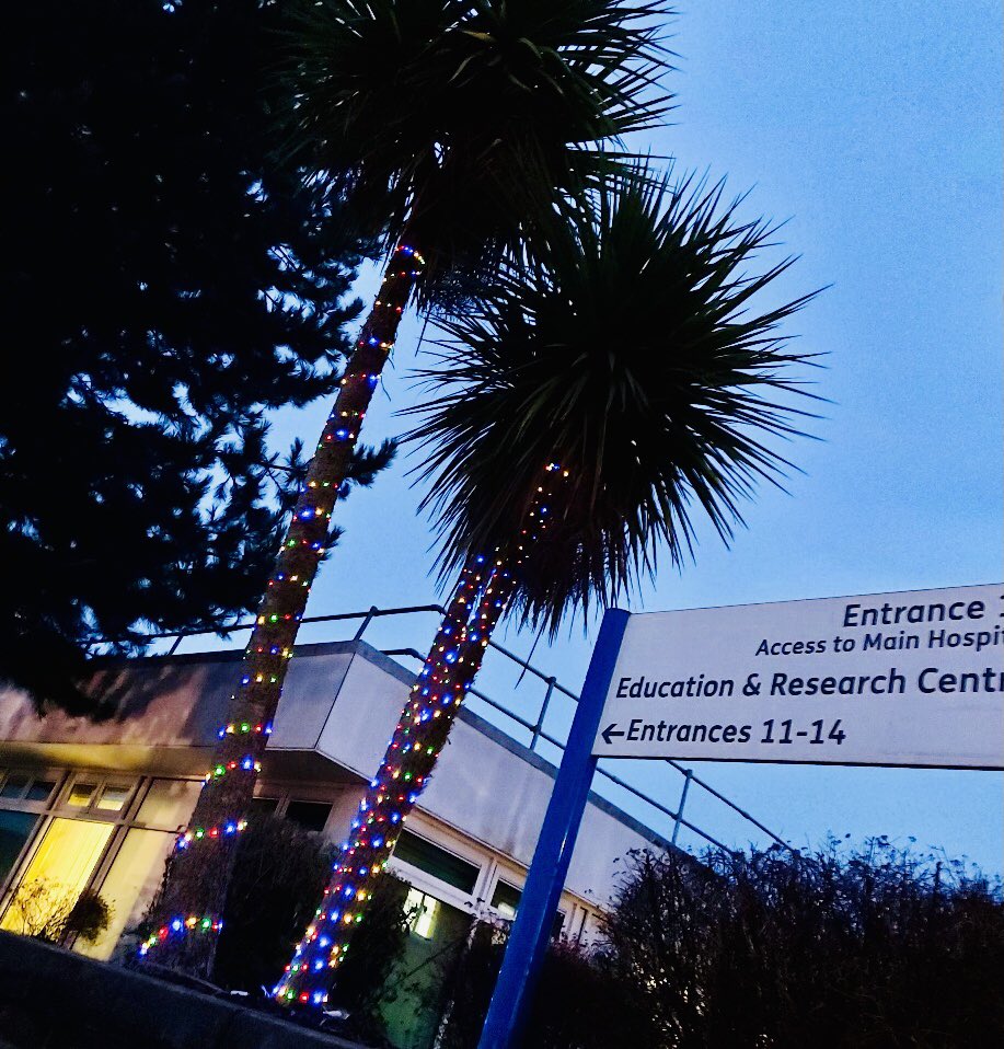 WythenshaweHosp's tweet photo. 💙 A huge thank you to our Estates and Facilities colleagues for these fantastic Christmas lights - from our Director of Nursing Jane Grimshaw  🎄 ✨ https://t.co/LwAz34RczJ
