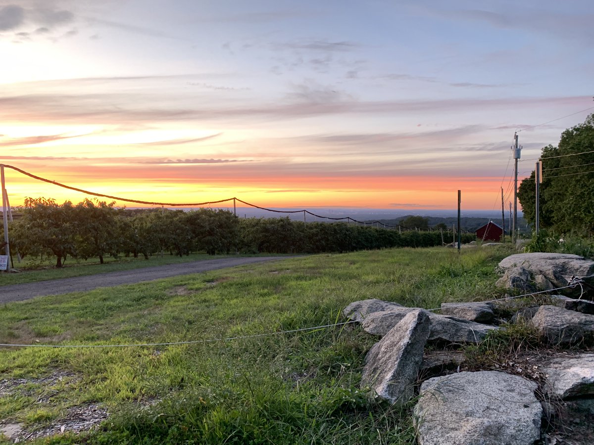 PerkOnMain's tweet image. Perk on Wheels will be at Crystal Ridge Winery in Glastonbury from 1PM to 5PM on Sunday!  Come order a crepe and some wine and watch the beautiful sunset!