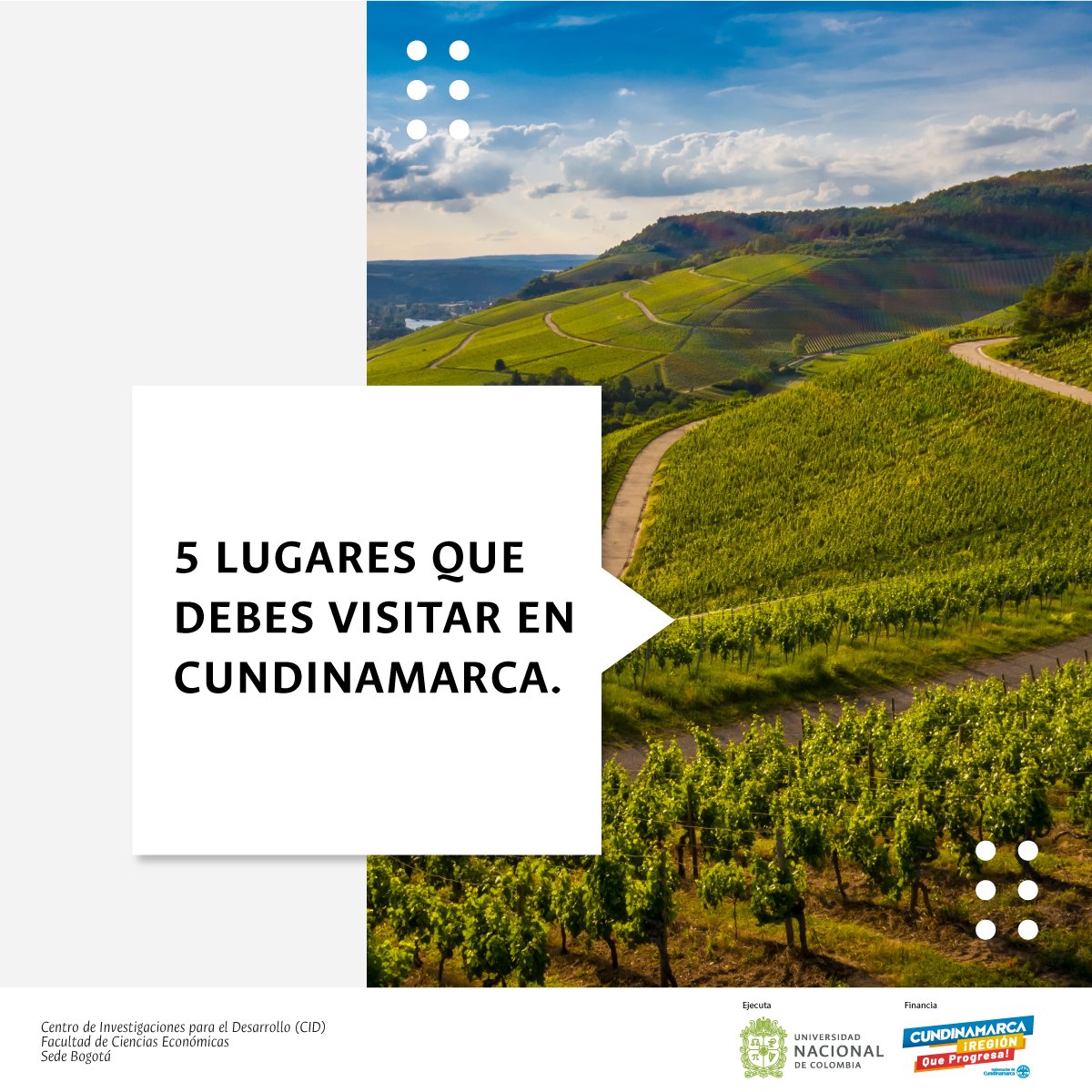 Agencia de Comercialización tweet media
