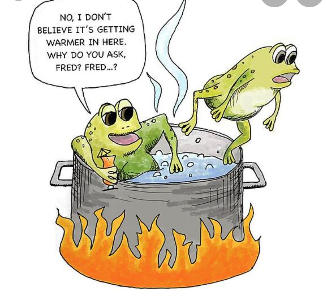 CamarilloWomen's tweet photo. @SenTedCruz @YouTube America is experiencing an Authoritarian Revolution in a slow motion. In some countries, Media changes its rhetoric by force and hostility, but here it is happening slowly but persistently. "Slowly, the water gets warmer and warmer so no frog feels the heat". #Theboilingfrog https://t.co/wOnXqradgX