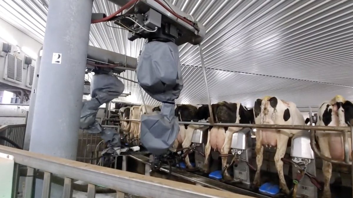 cowtechreport (@cowtechreport) on Twitter photo New teat-wiping robot arm a top product by <a href="/wcooley/">Walt Cooley</a> cowtechreport.substack.com/p/new-teat-wip… New teat-wiping robot arm a top product by <a href="/wcooley/">Walt Cooley</a> cowtechreport.substack.com/p/new-teat-wip…
